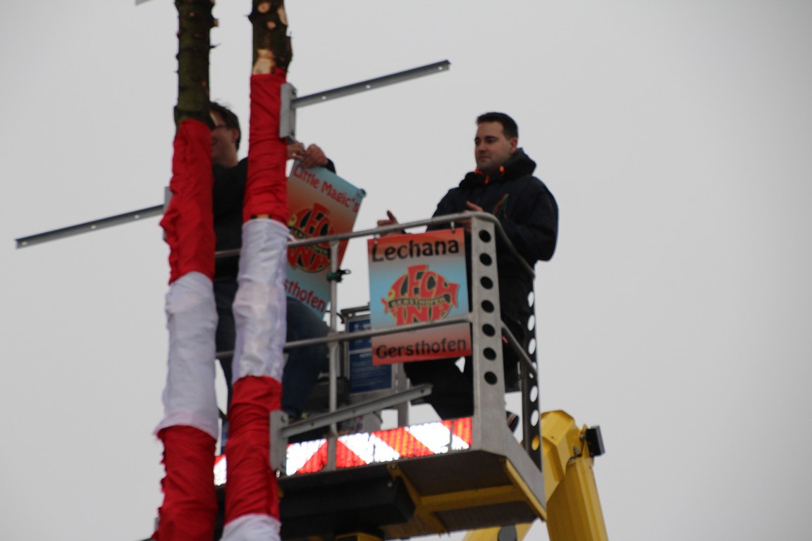 NARRENBAUMSTELLEN 2016